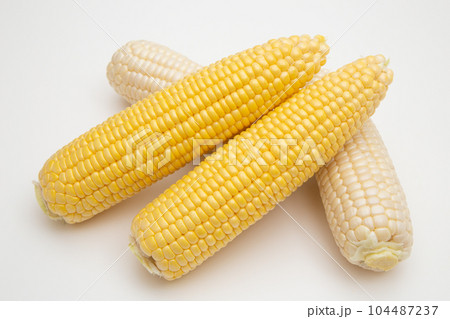 トウモロコシ 104487237