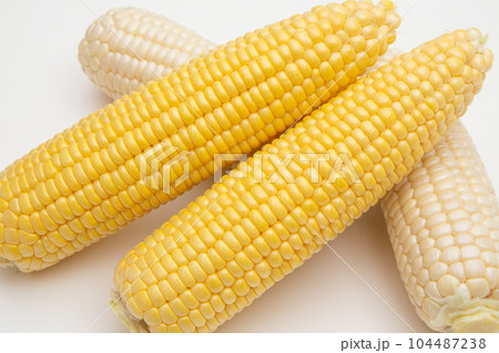 トウモロコシ 104487238