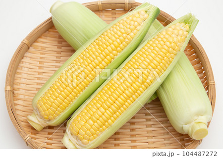 トウモロコシ 104487272