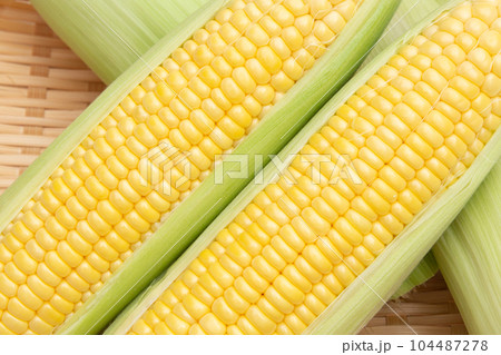 トウモロコシ 104487278