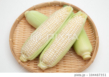 トウモロコシ トウモロコシ 104487351