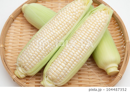 トウモロコシ トウモロコシ 104487352