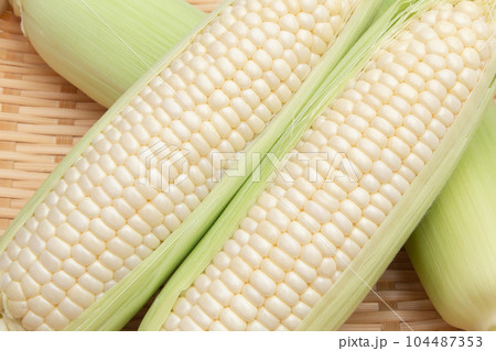 トウモロコシ 104487353