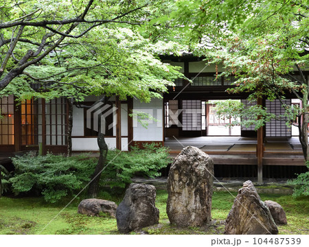 建仁寺 潮音庭 建仁寺 潮音庭 104487539