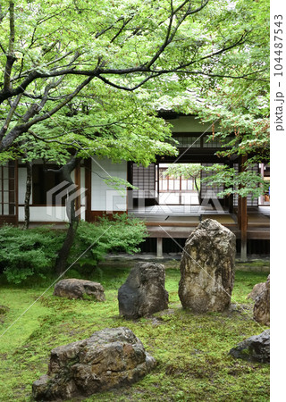 建仁寺 潮音庭 建仁寺 潮音庭 104487543