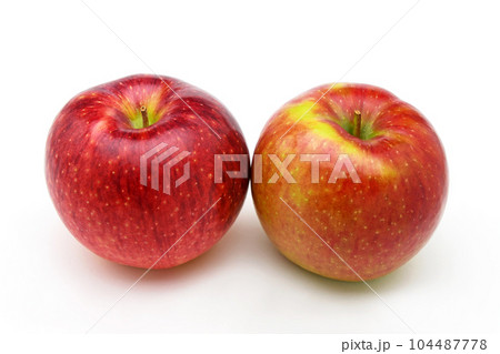 りんご（シナノリップ） 104487778