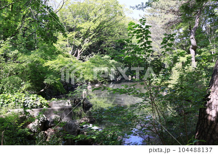 東京都目黒区駒場の目黒区立駒場野公園の風景 104488137