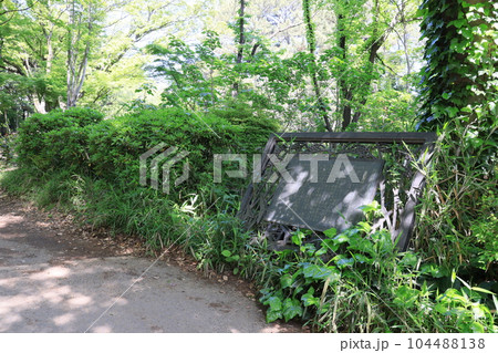 東京都目黒区駒場の目黒区立駒場野公園の風景 東京都目黒区駒場の目黒区立駒場野公園の風景 104488138