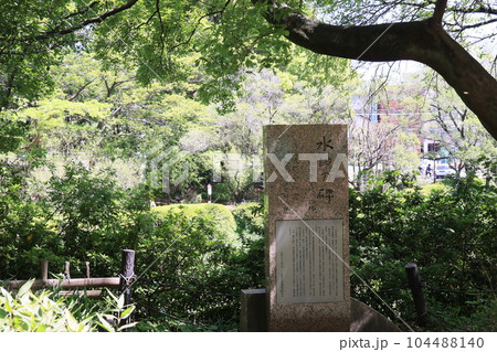 東京都目黒区駒場の目黒区立駒場野公園の風景 104488140