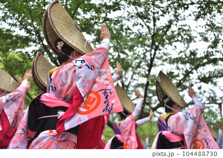 阿波踊り　春の祭典「徳島城　阿波踊り」　有名連の女踊り 104488730
