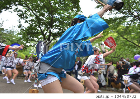 阿波踊り 春の祭典「徳島城 阿波踊り」 有名連の法被踊り 阿波踊り 春の祭典「徳島城 阿波踊り」 有名連の法被踊り 104488732