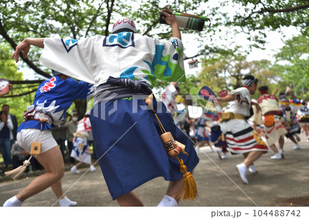 阿波踊り 春の祭典「徳島城 阿波踊り」 有名連の男踊り 阿波踊り 春の祭典「徳島城 阿波踊り」 有名連の男踊り 104488742