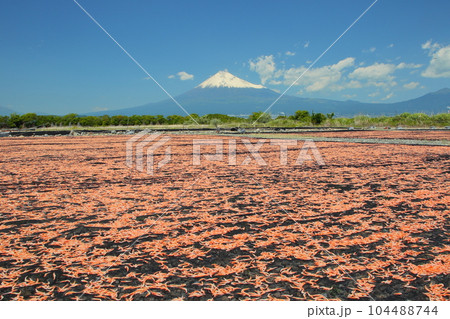 富士山と桜えびの天日干し 104488744