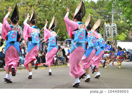 阿波踊り 春の祭典「徳島城 阿波踊り」 有名連の女踊り 阿波踊り 春の祭典「徳島城 阿波踊り」 有名連の女踊り 104489003