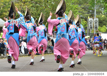 阿波踊り 春の祭典「徳島城 阿波踊り」 有名連の女踊り 阿波踊り 春の祭典「徳島城 阿波踊り」 有名連の女踊り 104489004