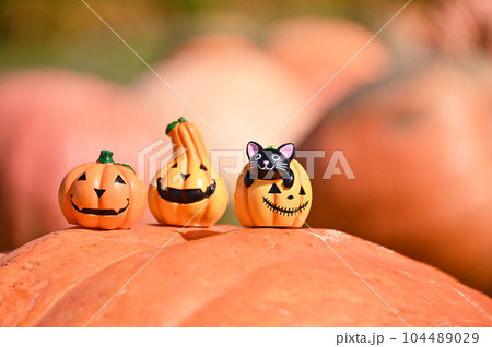 ハロウィンミニチュアの写真素材 [104489029] - PIXTA