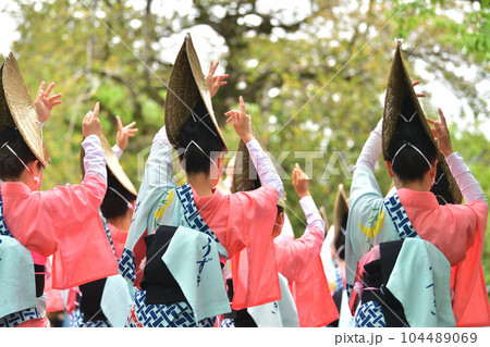 阿波踊り 春の祭典「徳島城 阿波踊り」 有名連の女踊り 阿波踊り 春の祭典「徳島城 阿波踊り」 有名連の女踊り 104489069