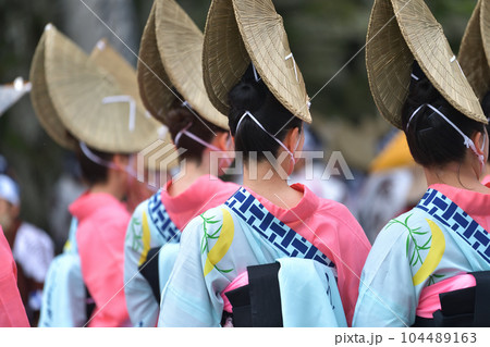 阿波踊り　春の祭典「徳島城　阿波踊り」　出番待ち有名連の女踊り 104489163