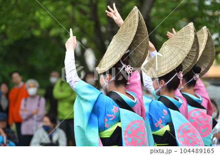 阿波踊り　春の祭典「徳島城　阿波踊り」　有名連の女踊り 104489165
