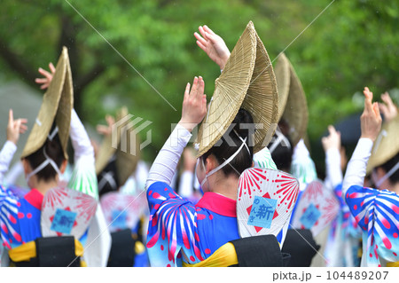 阿波踊り 春の祭典「徳島城 阿波踊り」 有名連の女踊り 阿波踊り 春の祭典「徳島城 阿波踊り」 有名連の女踊り 104489207