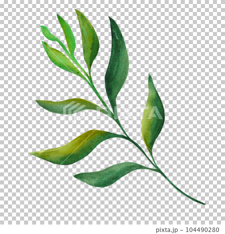 Abstract leaf. mythical leaf on a white background. Elements for your design 104490280