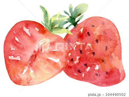 Strawberries Divider, Half and Full Watercolor Strawberries Divider, Half and Full Watercolor 104490502