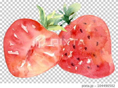 Strawberries Divider, Half and Full Watercolor Strawberries Divider, Half and Full Watercolor 104490502