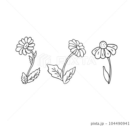Hand-drawn flowers 104490941