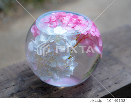 ガラスボールに入った紫陽花 ガラスボールに入った紫陽花 104491324