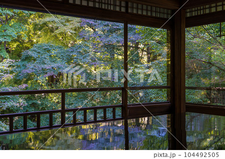 京都の青紅葉が美しい瑠璃光院の風景 104492505