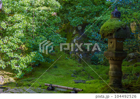 京都瑠璃光院の美しい日本庭園 104492526
