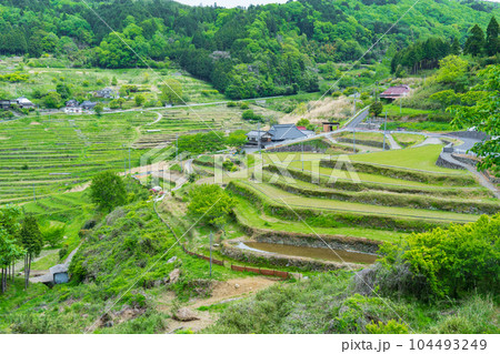 岡山県美作市 上山の棚田 岡山県美作市 上山の棚田 104493249