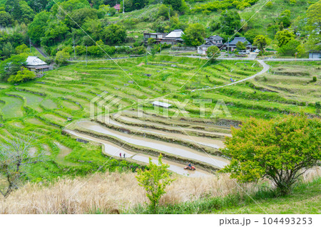 岡山県美作市　上山の棚田 104493253