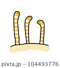 チンアナゴ 104493776