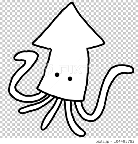 魷魚 魷魚 104493782