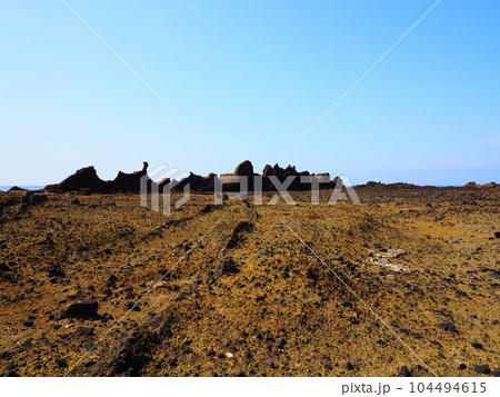 宿根木の隆起波食台 104494615