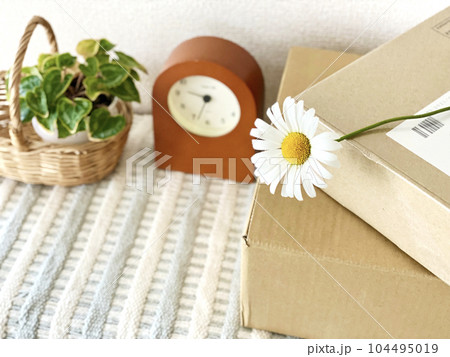 宅配便の箱2個に乗せた花と時計と植物鉢_斜め上から 宅配便の箱2個に乗せた花と時計と植物鉢_斜め上から 104495019