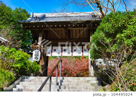 鎌倉 覚園寺の美しい紅葉 鎌倉 覚園寺の美しい紅葉 104495024