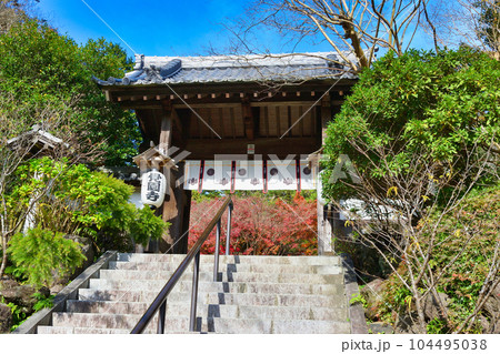 鎌倉 覚園寺の美しい紅葉 鎌倉 覚園寺の美しい紅葉 104495038