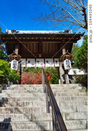 鎌倉 覚園寺の美しい紅葉 鎌倉 覚園寺の美しい紅葉 104495040