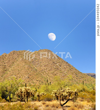 Moon Rising San Tan Mountains Sonora Desert Arizona 104495042