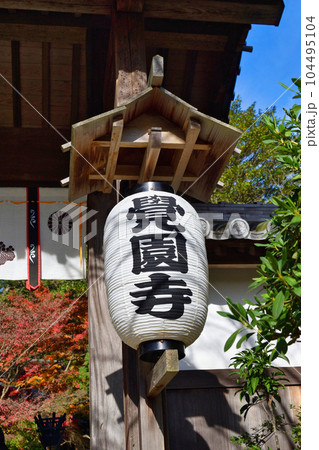 鎌倉 覚園寺の美しい紅葉 鎌倉 覚園寺の美しい紅葉 104495104