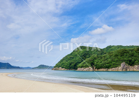 石波海岸（日本の渚百選）と幸島（文化を持つサルの生息する無人島） 104495119