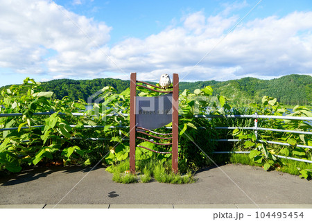 当別ふくろう湖（当別ダム） 104495454