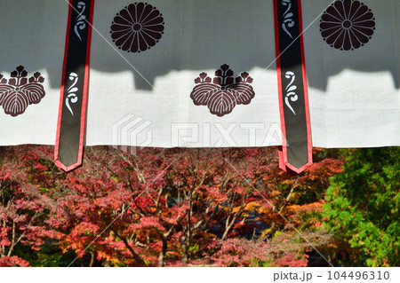 鎌倉 覚園寺の美しい紅葉 鎌倉 覚園寺の美しい紅葉 104496310