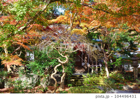 鎌倉 覚園寺の美しい紅葉 鎌倉 覚園寺の美しい紅葉 104496431