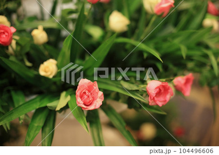 Pink and white rose decoration in bouquet for wedding reception 104496606