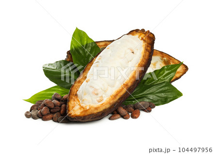 PNG, ingredient for making chocolate - cocoa, isolated on white background PNG, ingredient for making chocolate - cocoa, isolated on white background 104497956