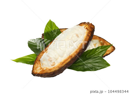 PNG, ingredient for making chocolate - cocoa, isolated on white background PNG, ingredient for making chocolate - cocoa, isolated on white background 104498344