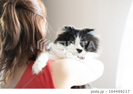女性に抱かれた猫 女性に抱かれた猫 104499217